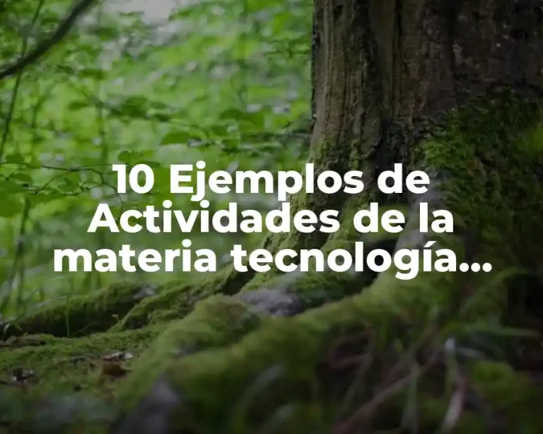 10 Ejemplos de Actividades de la materia tecnología tercero de secundaria