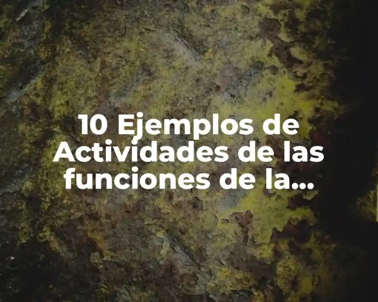 10 Ejemplos de Actividades de las funciones de la empresa