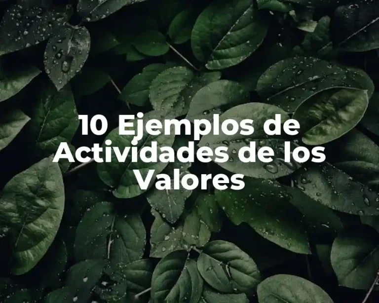 10 Ejemplos de Actividades de los Valores