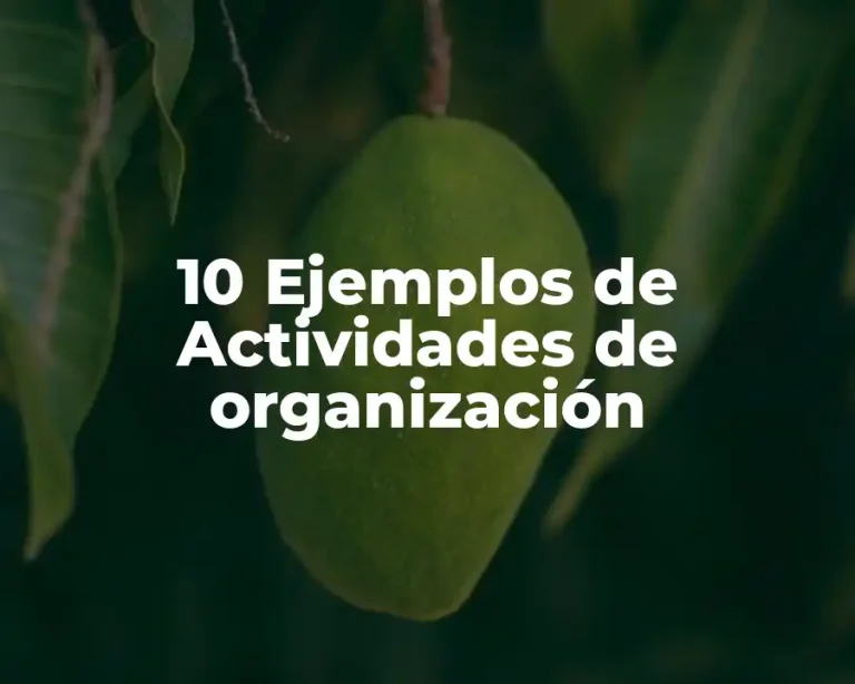 10 Ejemplos de Actividades de organización