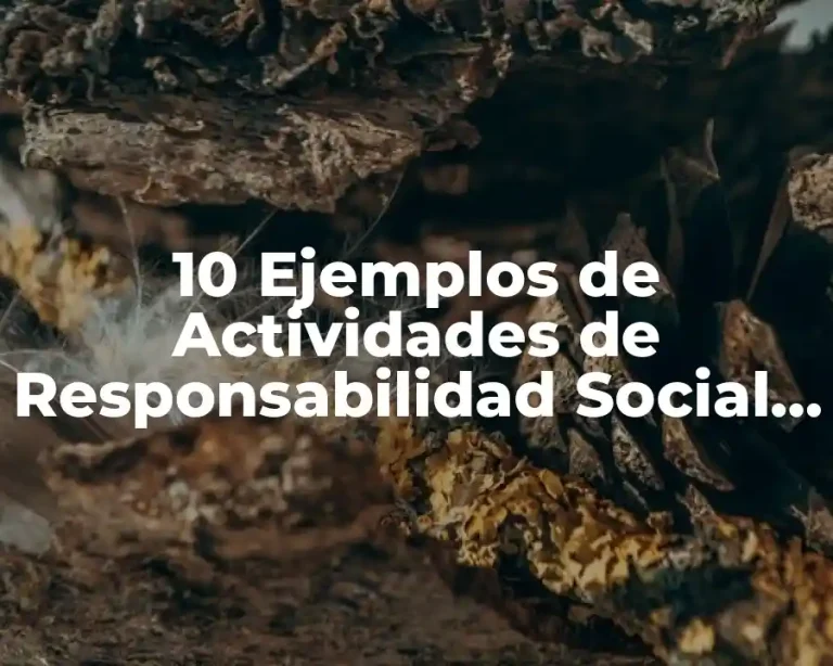 10 Ejemplos de Actividades de Responsabilidad Social Empresarial