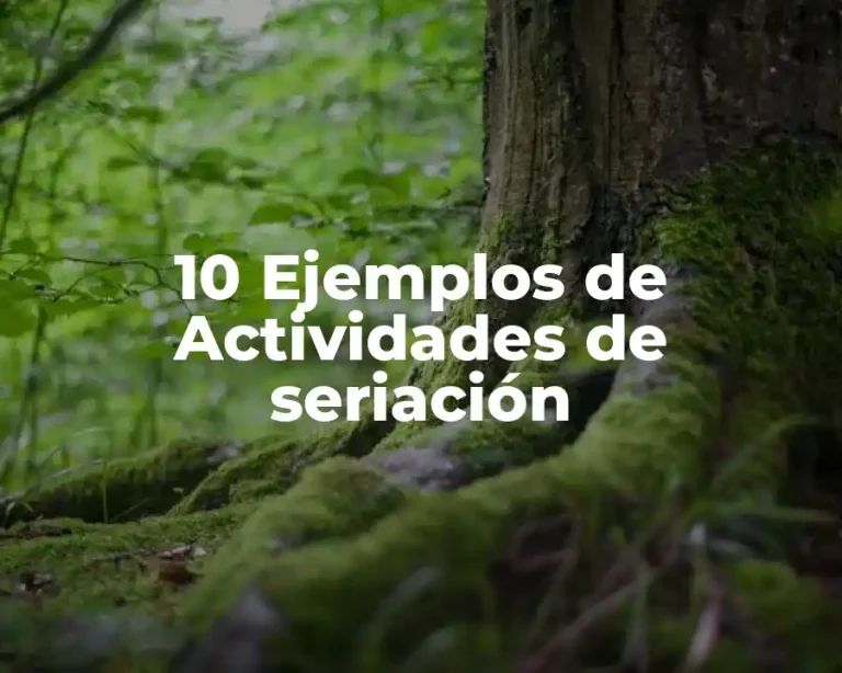 10 Ejemplos de Actividades de seriación