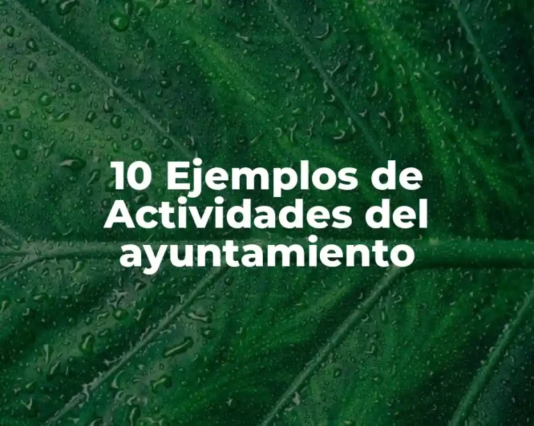 10 Ejemplos de Actividades del ayuntamiento