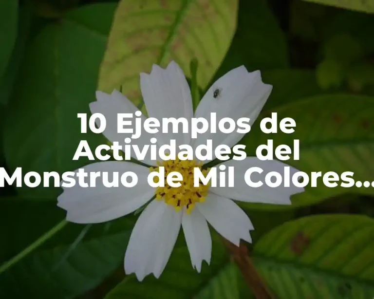 10 Ejemplos de Actividades del Monstruo de Mil Colores para Preescolar
