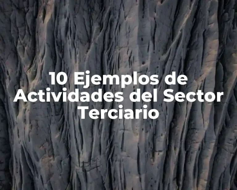 10 Ejemplos de Actividades del Sector Terciario