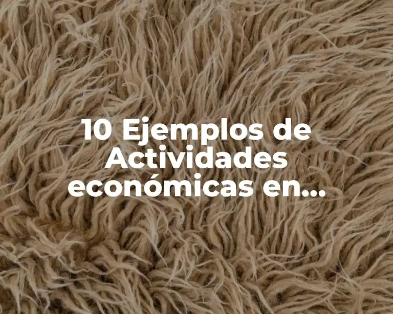 10 Ejemplos de Actividades económicas en Cozumel