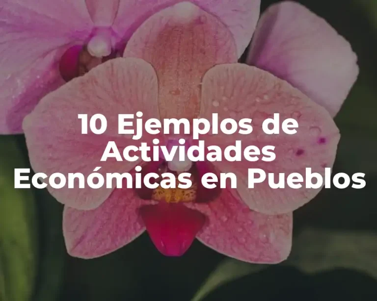 10 Ejemplos de Actividades Económicas en Pueblos