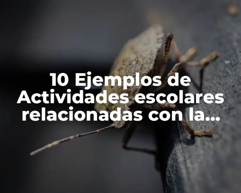 10 Ejemplos de Actividades escolares relacionadas con la gramática