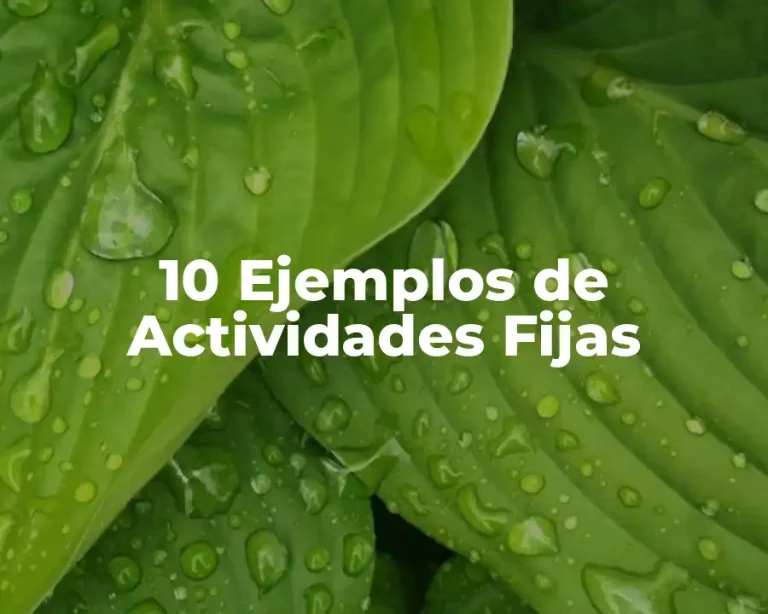 10 Ejemplos de Actividades Fijas