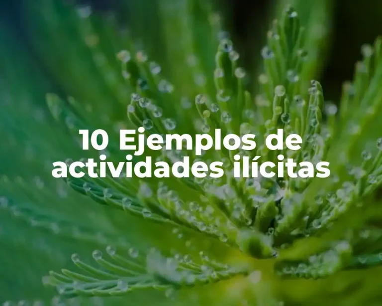 10 Ejemplos de actividades ilícitas
