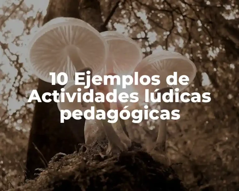 10 Ejemplos de Actividades lúdicas pedagógicas