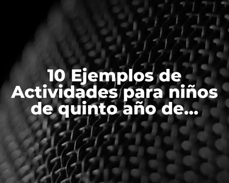 10 Ejemplos de Actividades para niños de quinto año de fracciones