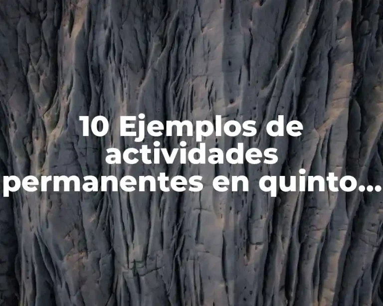 10 Ejemplos de actividades permanentes en quinto primaria