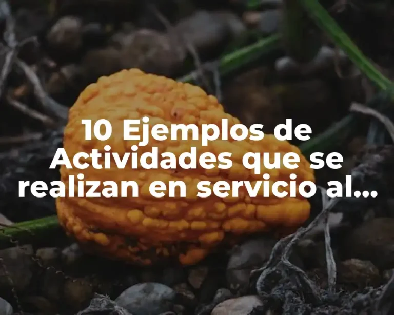 10 Ejemplos de Actividades que se realizan en servicio al cliente