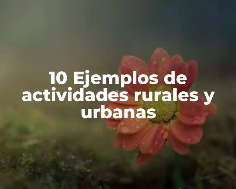 10 Ejemplos de actividades rurales y urbanas
