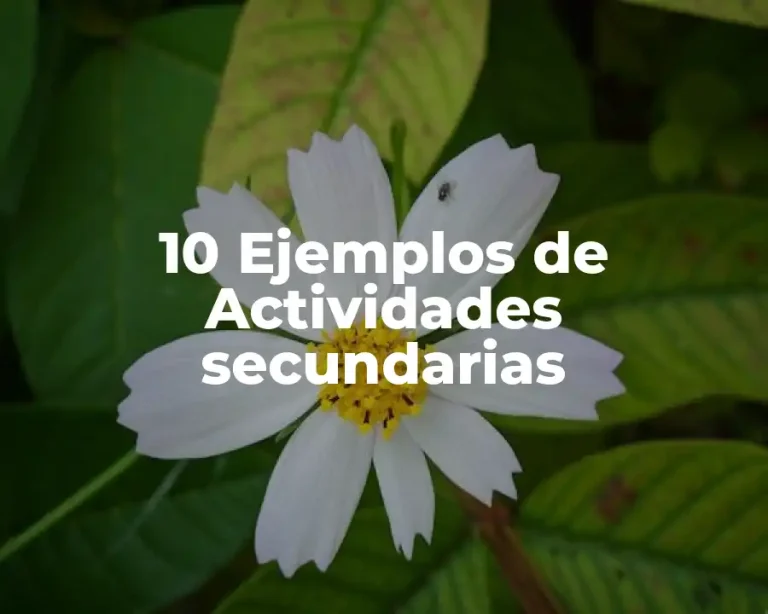 10 Ejemplos de Actividades secundarias