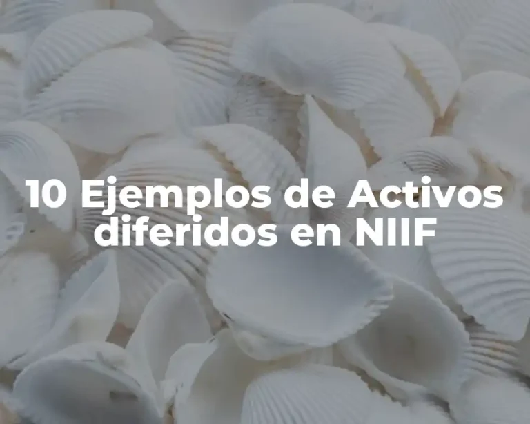 10 Ejemplos de Activos diferidos en NIIF