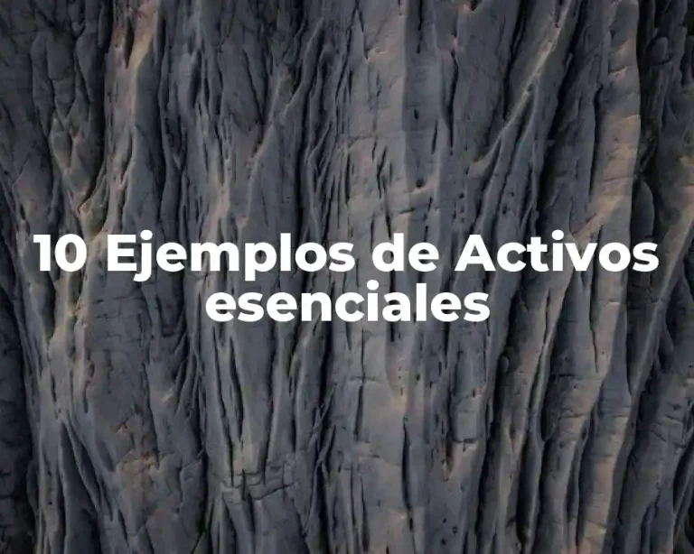 10 Ejemplos de Activos esenciales