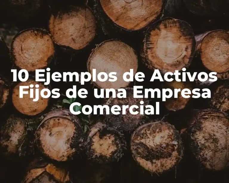 10 Ejemplos de Activos Fijos de una Empresa Comercial