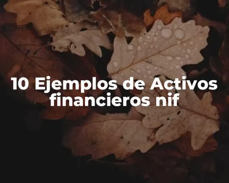 10 Ejemplos de Activos financieros nif