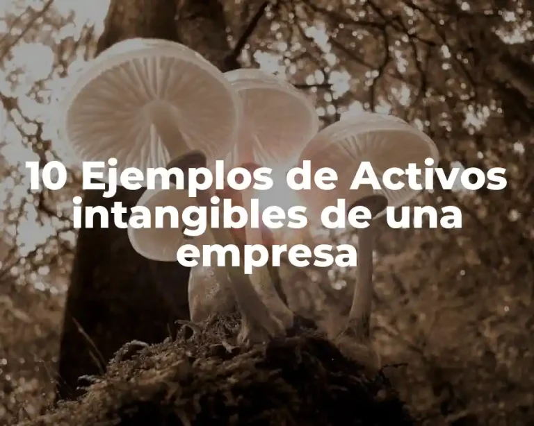 10 Ejemplos de Activos intangibles de una empresa