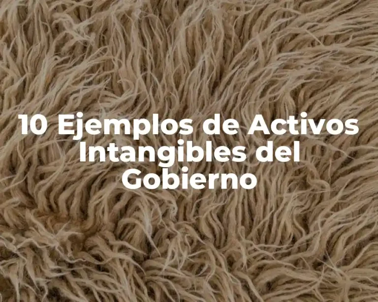 10 Ejemplos de Activos Intangibles del Gobierno