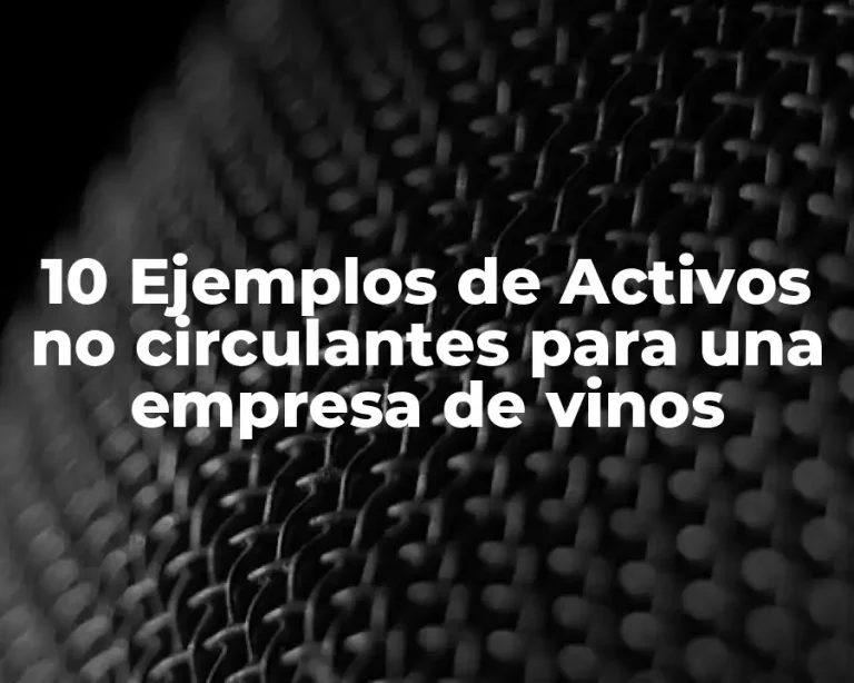 10 Ejemplos de Activos no circulantes para una empresa de vinos