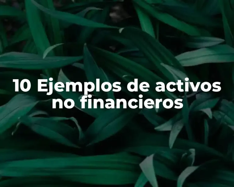 10 Ejemplos de activos no financieros