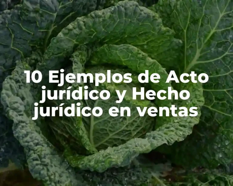 10 Ejemplos de Acto jurídico y Hecho jurídico en ventas