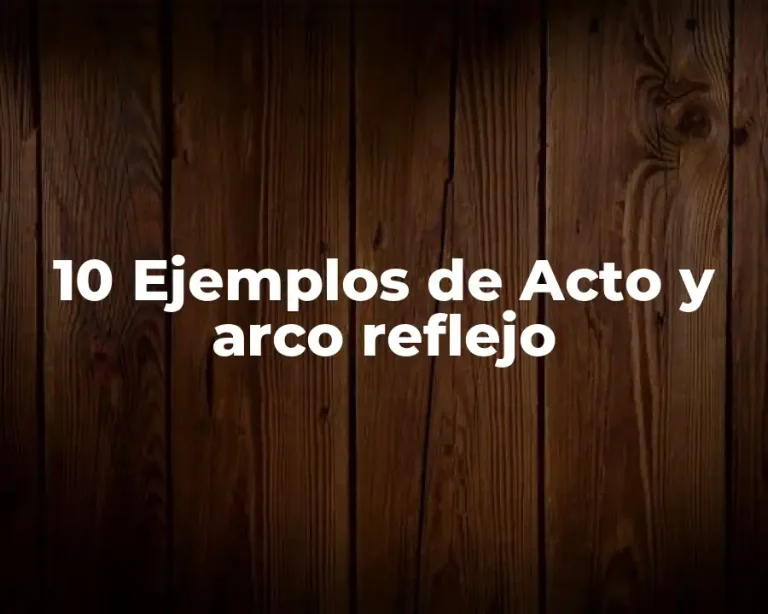 10 Ejemplos de Acto y arco reflejo
