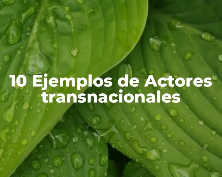 10 Ejemplos de Actores transnacionales