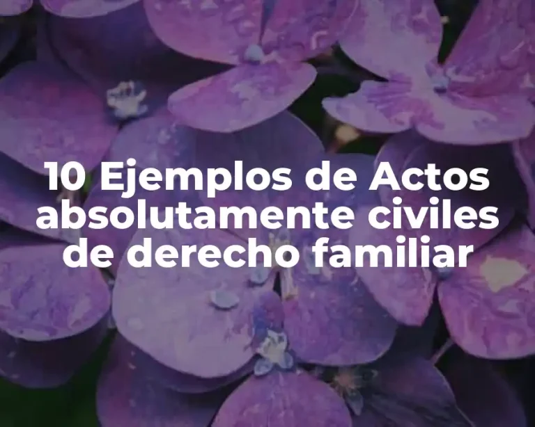 10 Ejemplos de Actos absolutamente civiles de derecho familiar