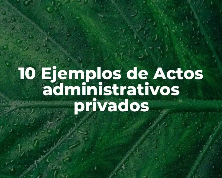 10 Ejemplos de Actos administrativos privados