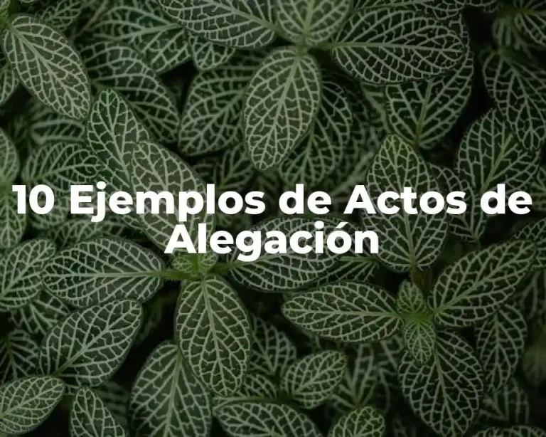 10 Ejemplos de Actos de Alegación
