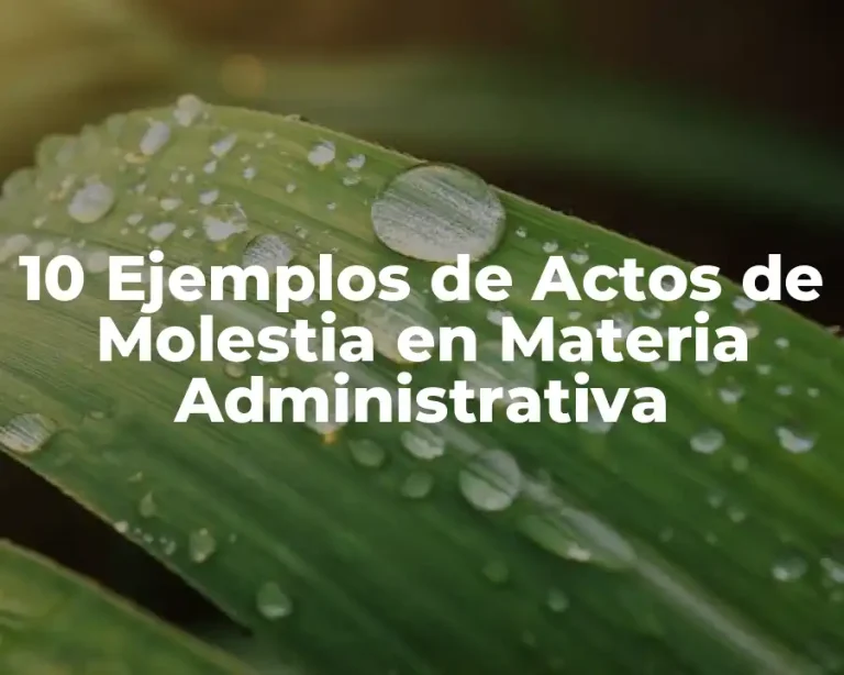 10 Ejemplos de Actos de Molestia en Materia Administrativa