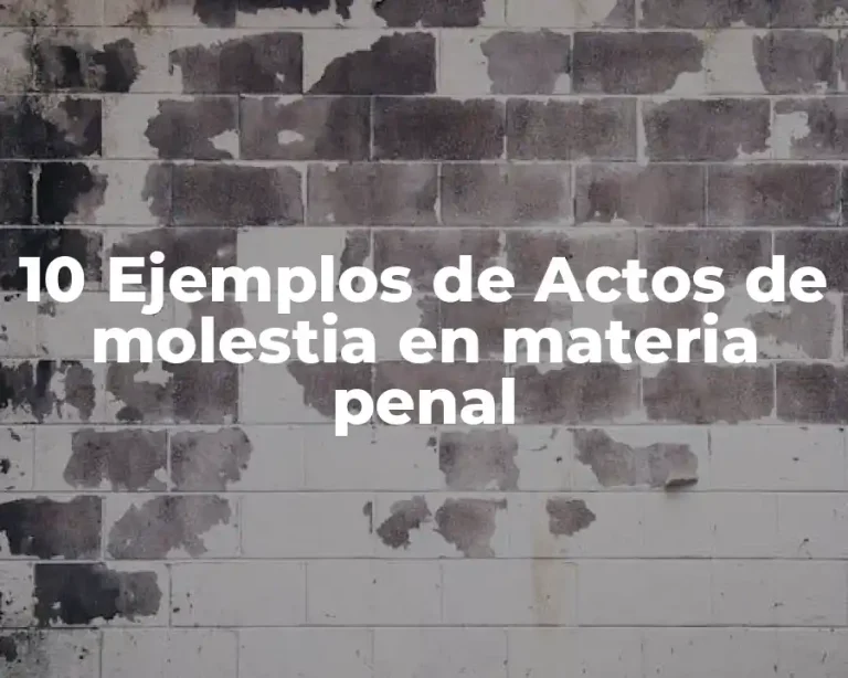 10 Ejemplos de Actos de molestia en materia penal