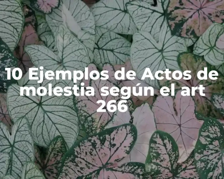 10 Ejemplos de Actos de molestia según el art 266