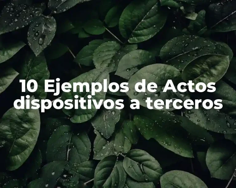 10 Ejemplos de Actos dispositivos a terceros