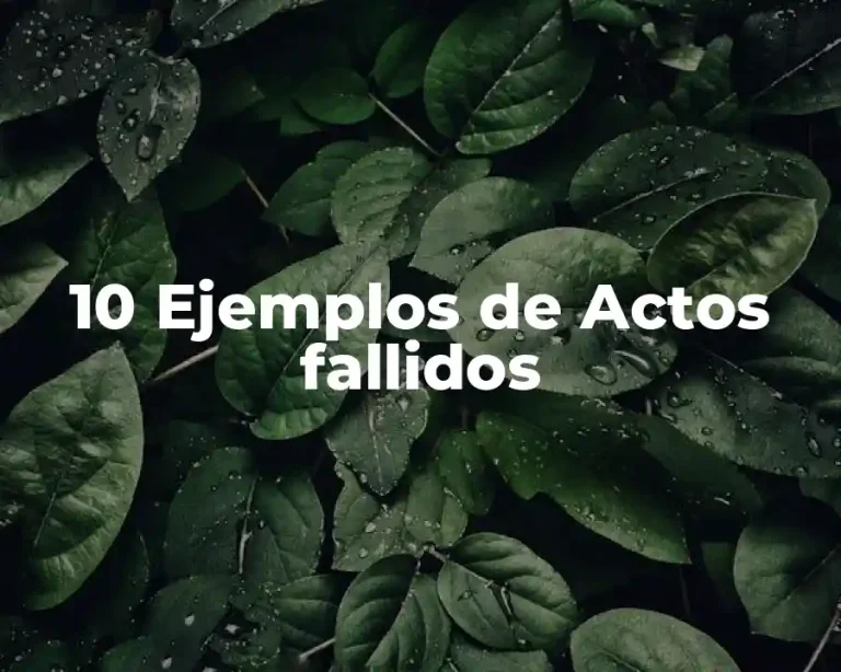 10 Ejemplos de Actos fallidos