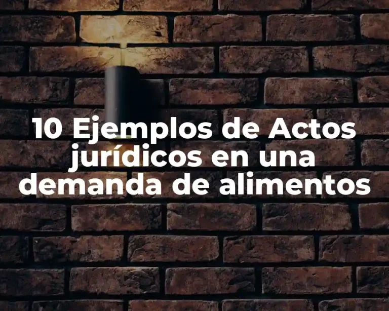 10 Ejemplos de Actos jurídicos en una demanda de alimentos