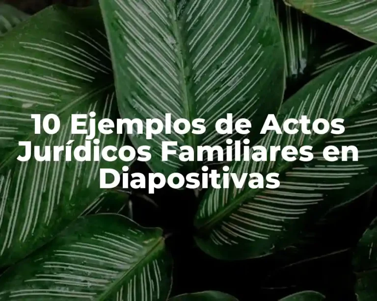 10 Ejemplos de Actos Jurídicos Familiares en Diapositivas