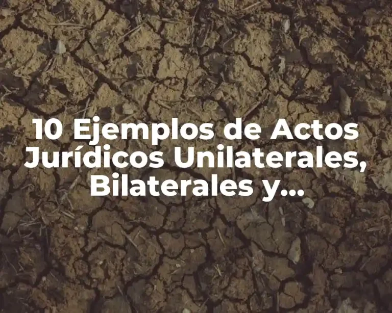 10 Ejemplos de Actos Jurídicos Unilaterales, Bilaterales y Plurilaterales