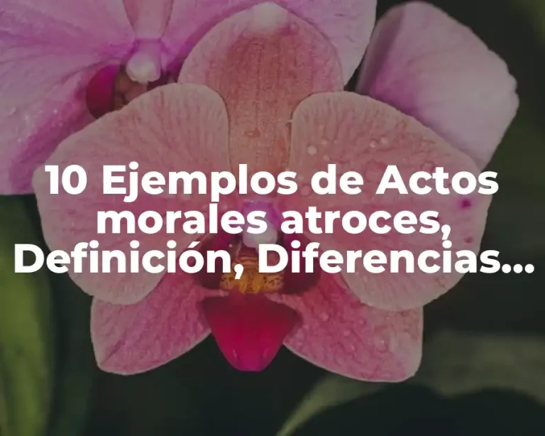 10 Ejemplos de Actos morales atroces, Definición, Diferencias y para que sirve