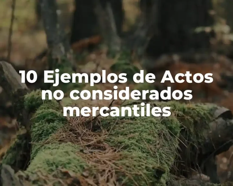 10 Ejemplos de Actos no considerados mercantiles