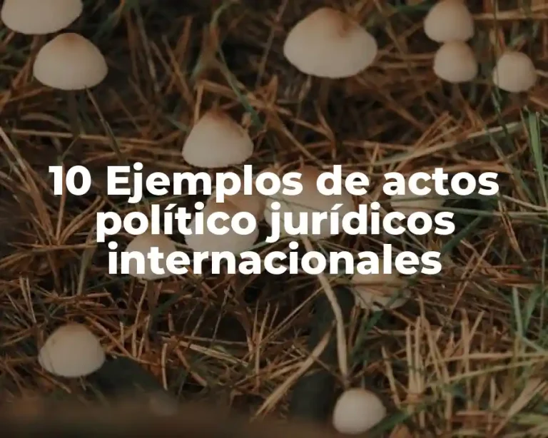 10 Ejemplos de actos político jurídicos internacionales