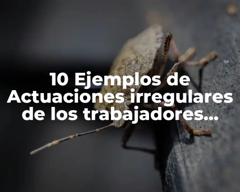 10 Ejemplos de Actuaciones irregulares de los trabajadores, Definición, Diferencias y para que sirve