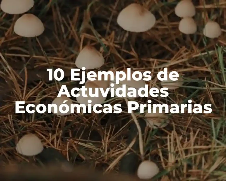 10 Ejemplos de Actuvidades Económicas Primarias