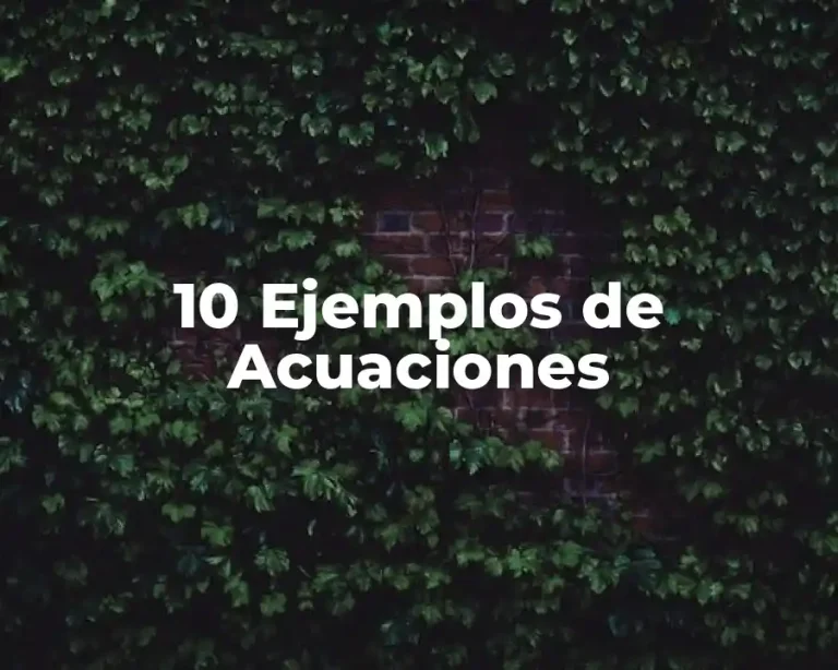 10 Ejemplos de Acuaciones