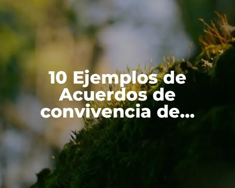 10 Ejemplos de Acuerdos de convivencia de relaciones interpersonales