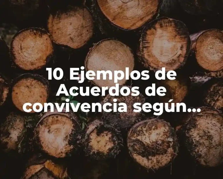 10 Ejemplos de Acuerdos de convivencia según construye t